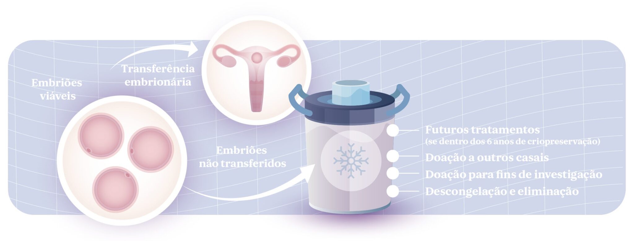 embriões-excedentários