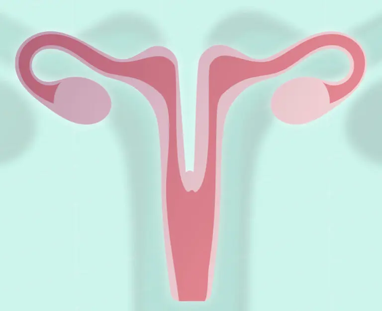 malformações-uterinas-e-gravidez