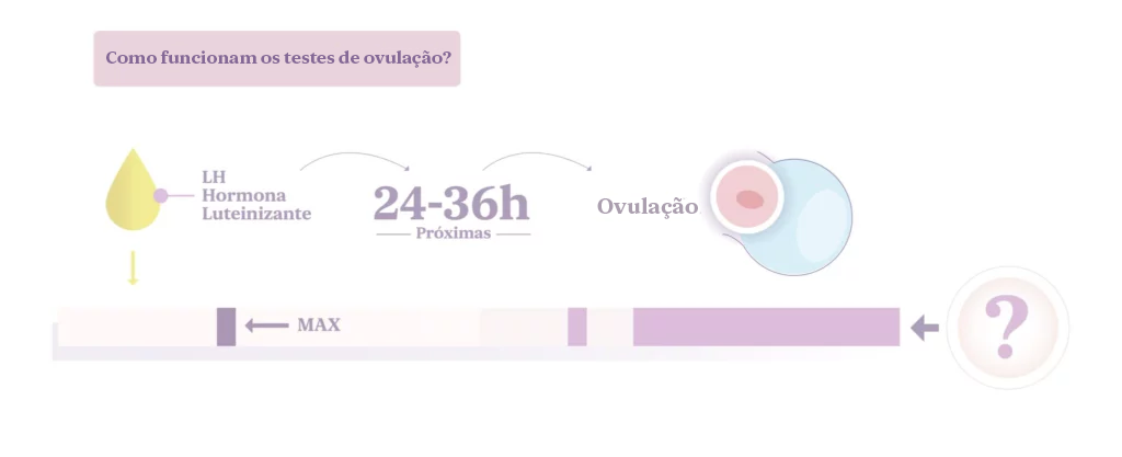 teste-de-ovulação-o-que-é